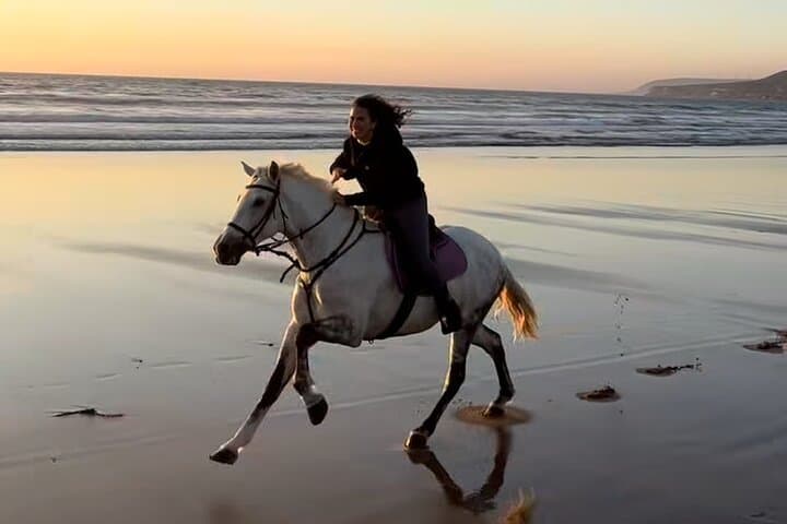 Sunset Horseback Ride on Taghazout Bay: Beach Gallops & Beginner-Friendly Trails