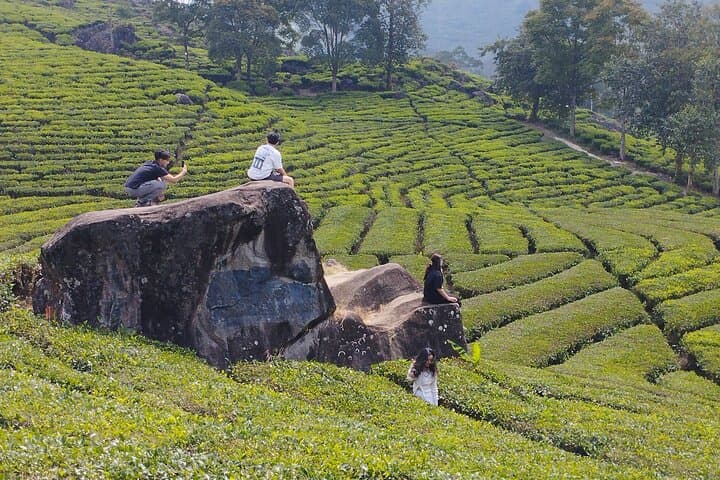 Private Volcano Tour from Bandung: Kawah Putih, Rancabali Tea & Rengganis Hot Springs