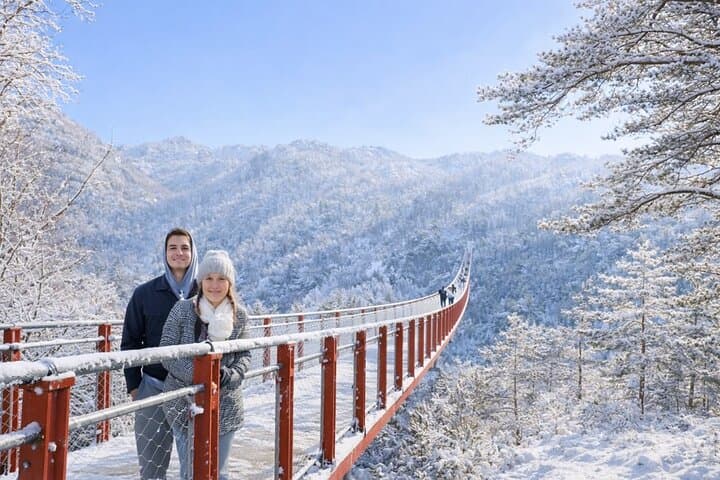 DMZ Tour from Seoul: 3rd Infiltration Tunnel, Dora Observatory & NK Defector Meet-Up photo 2