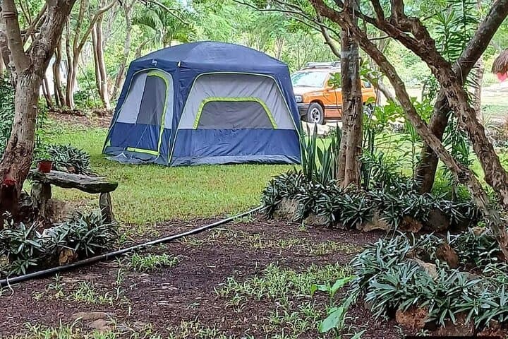 Hidden Homún Cenotes & Authentic Yucatán Village Expedition photo 3