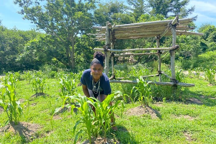 Explore Plimoth Patuxet Museums: Living History of the Pilgrims & Wampanoag photo 4