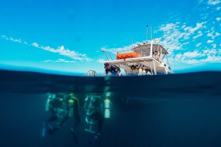 2-Tank Scuba Diving in La Paz — Isla Espíritu Santo & Los Islotes photo 2