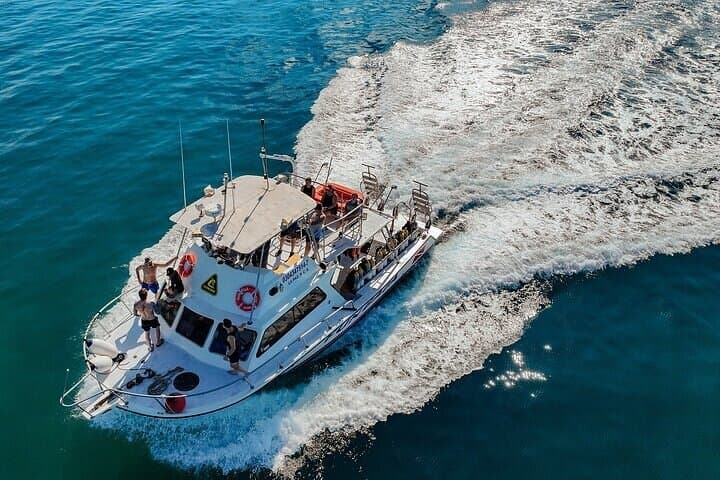 2-Tank Scuba Diving in La Paz — Isla Espíritu Santo & Los Islotes photo 4