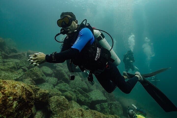 2-Tank Scuba Diving in La Paz — Isla Espíritu Santo & Los Islotes photo 5