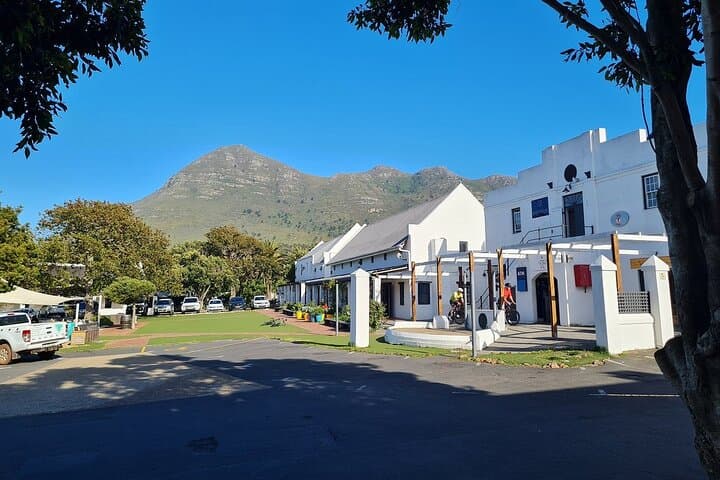 Cape Town in Five Days: Table Mountain, Robben Island, Safari & Peninsula photo 5