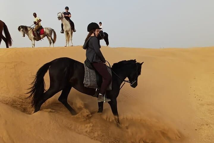 Horseback Riding on Agadir's Atlantic Coast: Tifnit Dunes & Beach Experience photo 2