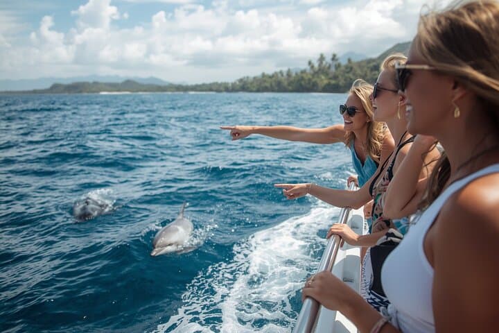 Potrero to Las Catalinas: Private Whale & Dolphin Cruise off Guanacaste