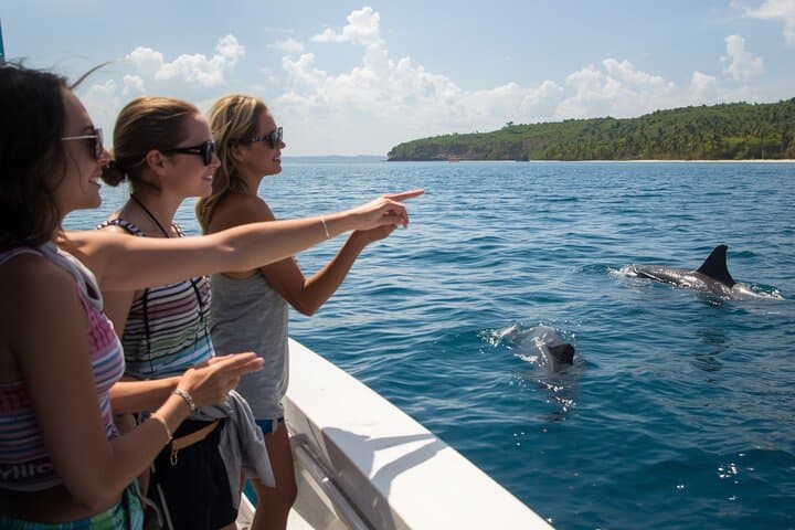 Potrero to Las Catalinas: Private Whale & Dolphin Cruise off Guanacaste photo 3