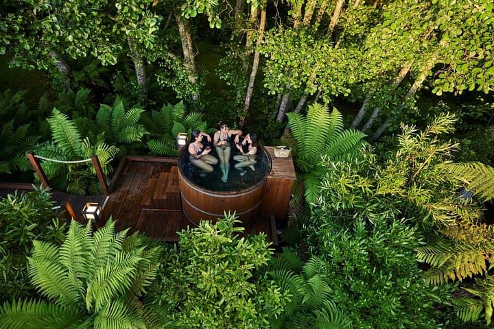 Rotorua Highlights: Te Puia & Secret Spot Hot Tubs Day Tour from Auckland