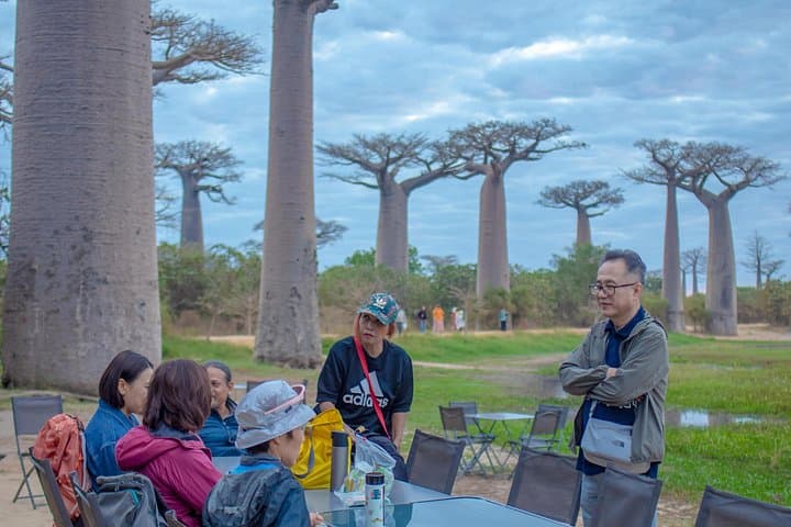 Tsingy de Bemaraha 3-Day Tour from Morondava — Baobab Avenue, Tsingy Spires & Manambolo Canoe Caves photo 4