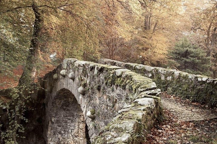 Belfast Winterfell Trek: Game of Thrones Locations Day Tour from Belfast photo 3