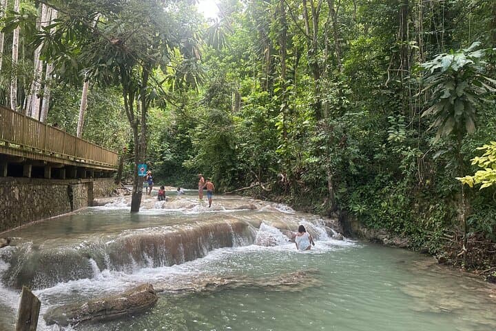 Climb Dunn's River Falls from Falmouth: Waterfall Adventure with Lunch photo 3
