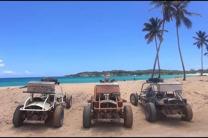 Half-Day Buggy Tour to Macao Beach & Cenote from Punta Cana