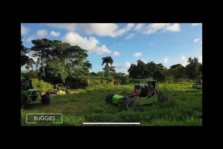 Half-Day Buggy Tour to Macao Beach & Cenote from Punta Cana photo 5