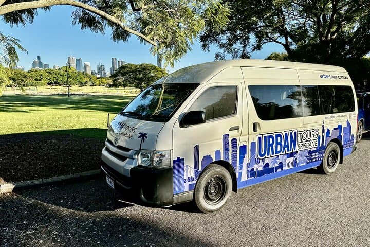 Brisbane City & Koalas Private Day Tour — Lone Pine Sanctuary, Mt Coot‑tha Views & Local Stories photo 6