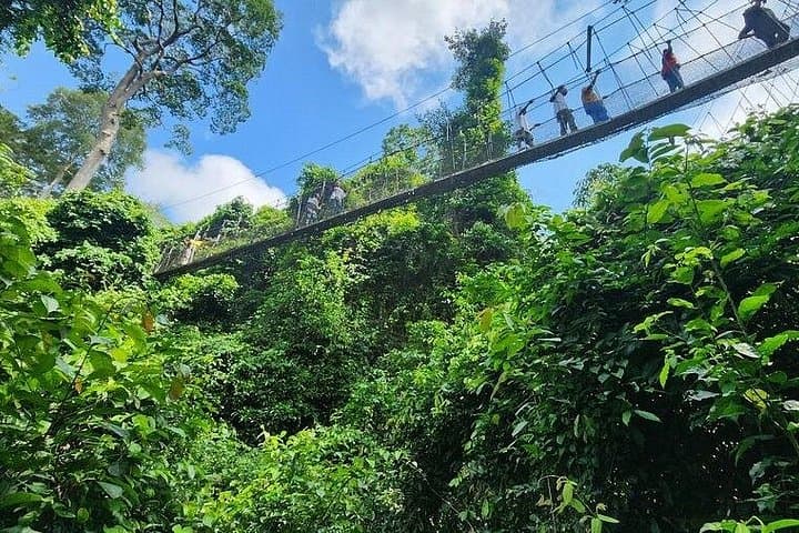 Kakum Canopy Walkway and Cape Coast & Elmina Castles Day Tour from Accra photo 1