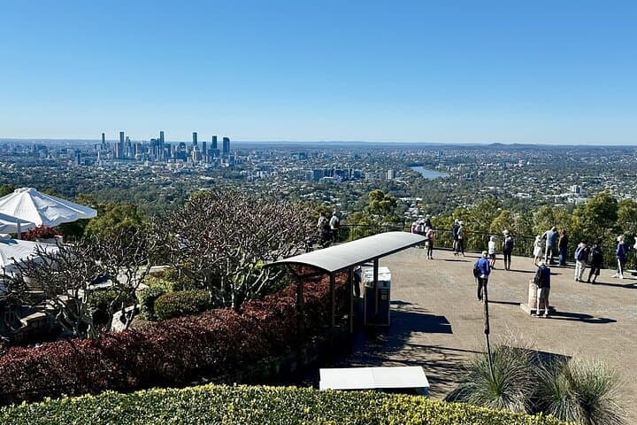 Brisbane City & Koalas Private Day Tour — Lone Pine Sanctuary, Mt Coot‑tha Views & Local Stories photo 3