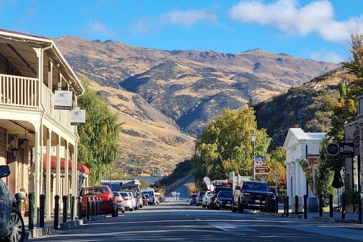 Rail Trail in a Day: Central Otago e-Bike Adventure through Poolburn Gorge photo 4