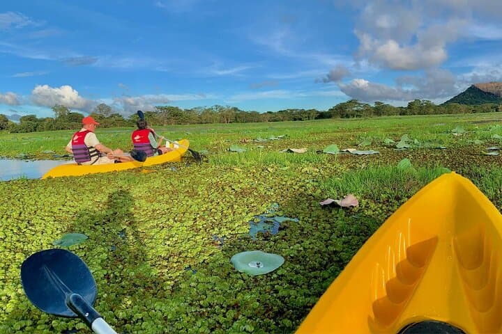 Paddle Thalkotte Lake: Lake Kayaking from Sigiriya — Guided 1.5-Hour Tour photo 6