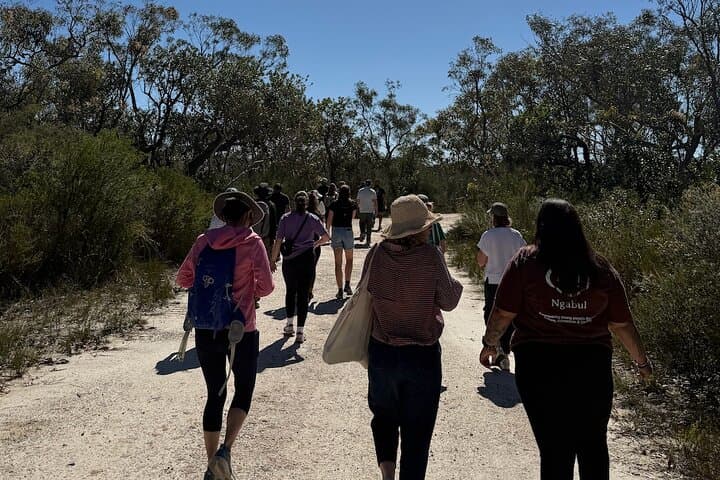 Sydney Aboriginal Cultural Tour: Welcome Smoking Ceremony in Ku-ring-gai & Royal National Park