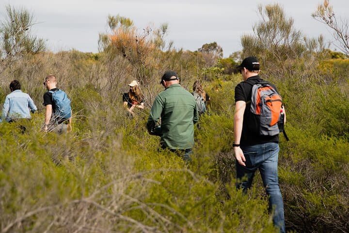 Sydney Aboriginal Cultural Tour: Welcome Smoking Ceremony in Ku-ring-gai & Royal National Park photo 3
