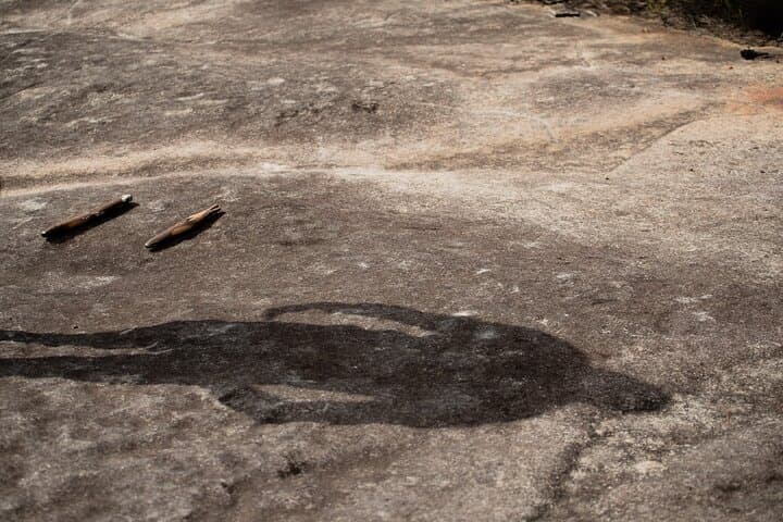 Sydney Aboriginal Cultural Tour: Welcome Smoking Ceremony in Ku-ring-gai & Royal National Park photo 5