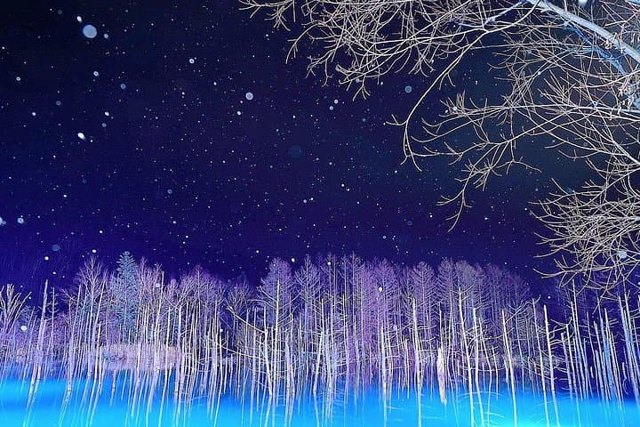 Biei Winter Photo Tour: Blue Pond, Shirahige Waterfall & Ceramic Tree (Late Departure from Sapporo)