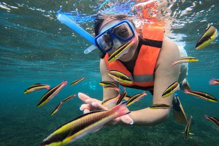 Private Boat Tour of Huatulco’s 7 Bays — Snorkel, Beaches & Marine Life photo 3