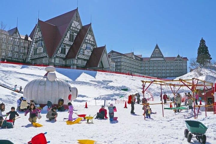 Joetsu Kokusai Ski Resort Day Trip from Tokyo — 1-Day Lift Pass Guide