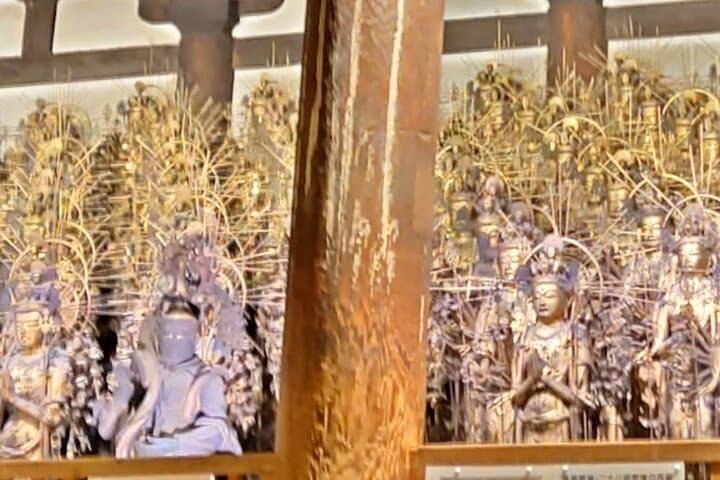 Half-Day E-Bike Tour from Kyoto Station — Local-Guided Ride Through Gion & Temples photo 4