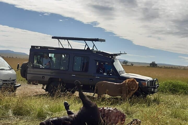 3-Day Masai Mara Group Joining Safari: Wildlife Drives, Tented Camps & Maasai Culture photo 3