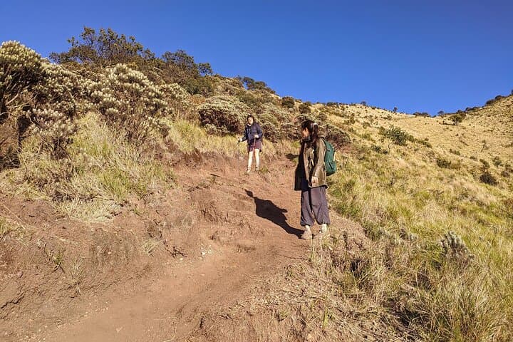 Mount Merbabu 2-Day Summit Trek from Yogyakarta — Guided Overnight Hike & Sunrise photo 6