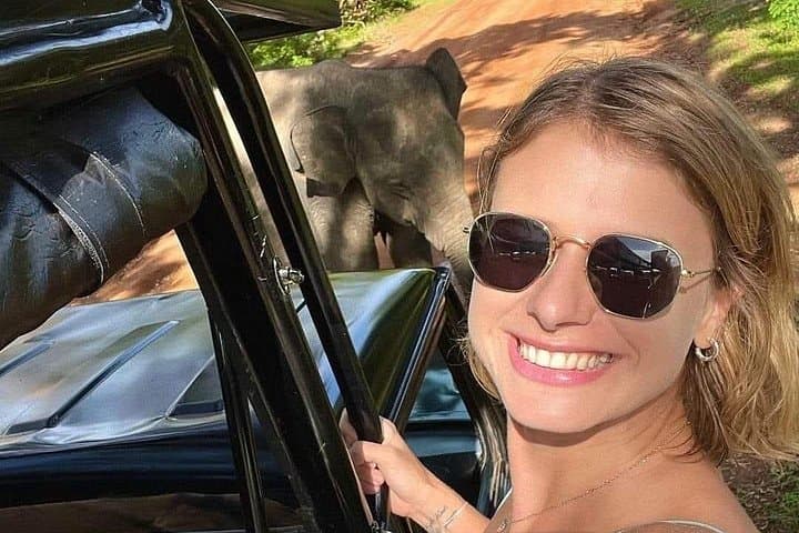 Private Safari in Yala National Park: Leopard & Elephant Photography Tour photo 1
