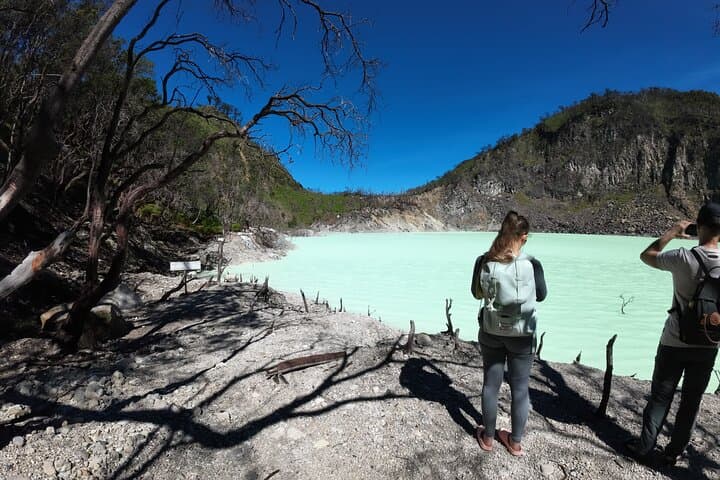 Bandung White Crater & Active Volcano Guided Tour — Kawah Putih, Tangkuban Perahu & Hot Springs photo 3