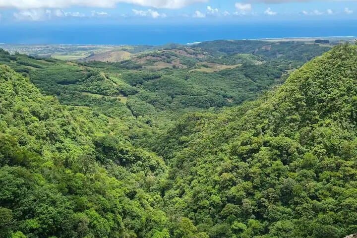 Colourful South of Mauritius: Chamarel, Seven Coloured Earths & Grand Bassin Day Tour photo 4