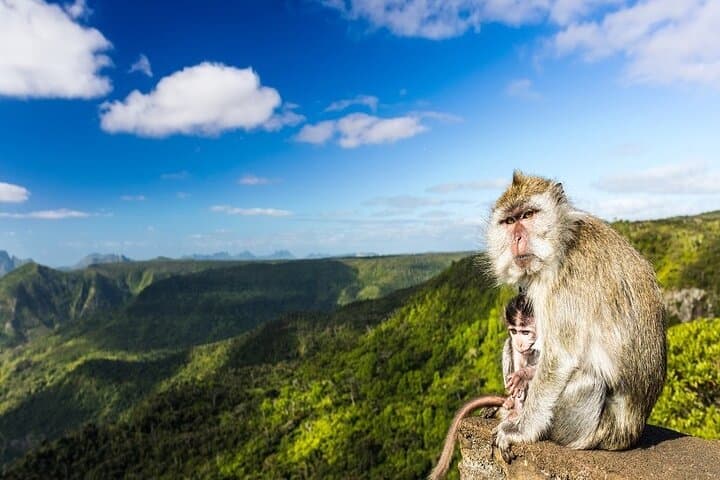 Colourful South of Mauritius: Chamarel, Seven Coloured Earths & Grand Bassin Day Tour photo 6