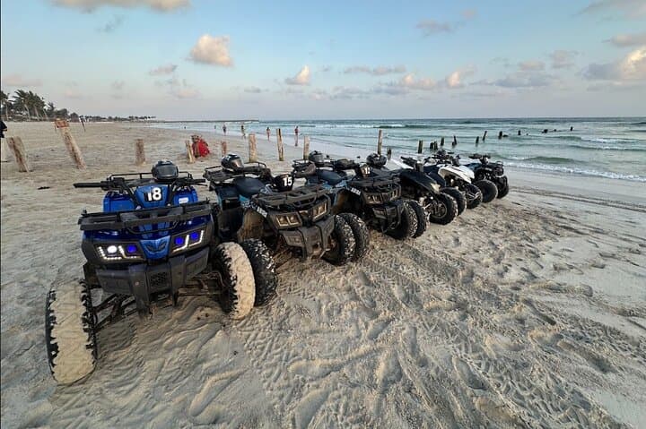 Coastal Quad Biking in Salalah: Sunset Beach Trails & Desert Tracks photo 2