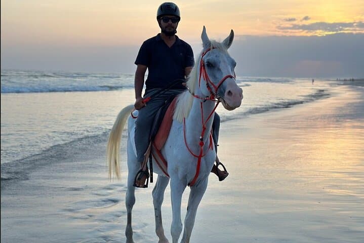 Salalah Coast Camel and Horse Ride: Sunset Beach Trails and Frankincense Hills photo 4