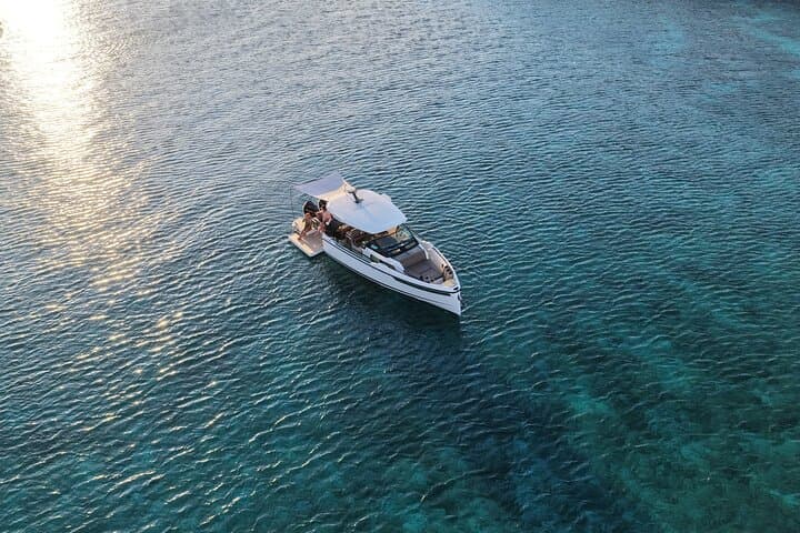 Costa Smeralda Dolphin-Watching Speed Boat Tour from Poltu Quatu photo 3
