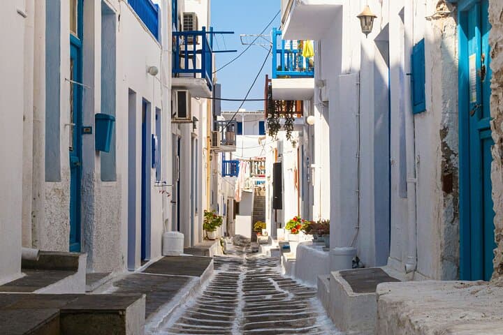 Mykonos Private Tour: Beaches, Windmills & Ano Mera in a Day