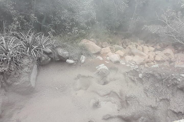 Guided Las Pailas Hike at Rincón de la Vieja — Fumaroles, Hot Springs & Dry Forest photo 2