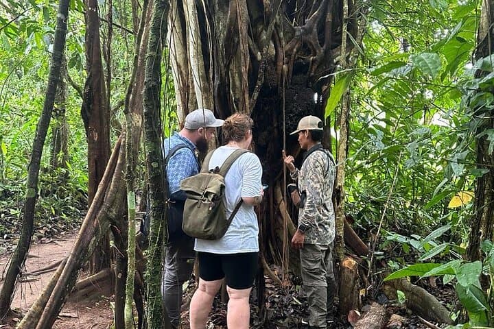 Guided Las Pailas Hike at Rincón de la Vieja — Fumaroles, Hot Springs & Dry Forest photo 3