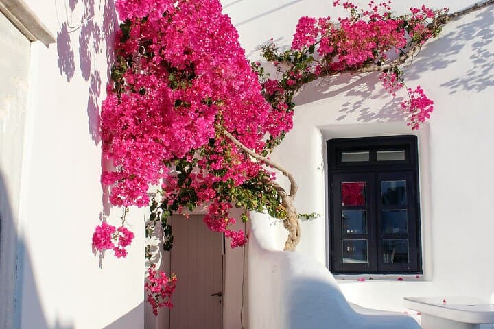 Private Mykonos Top Sights: Beaches, Lighthouses & Village Life in One Day photo 5