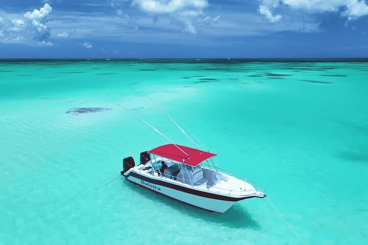 Private Isla Saona Boat Trip from Bayahibe — Full-Day Snorkel & Beach Escape photo 1