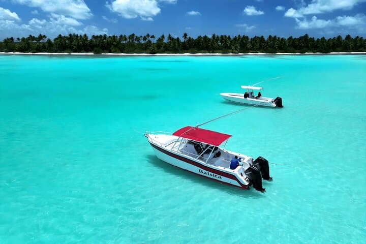 Private Isla Saona Boat Trip from Bayahibe — Full-Day Snorkel & Beach Escape photo 3