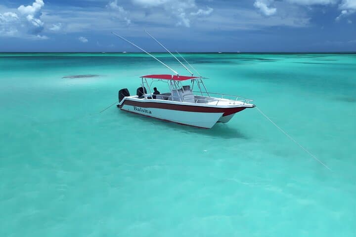 Private Isla Saona Boat Trip from Bayahibe — Full-Day Snorkel & Beach Escape photo 4
