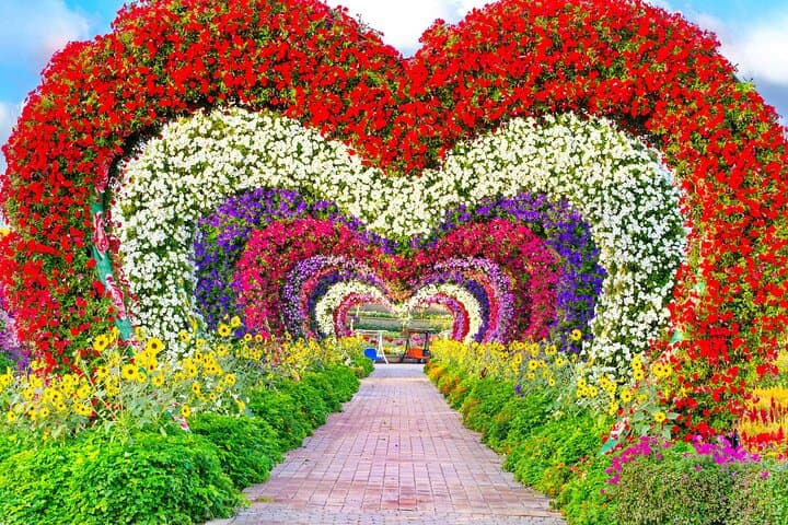 Dubai Miracle Garden Skip-the-Line Ticket — What to Expect & Practical Tips