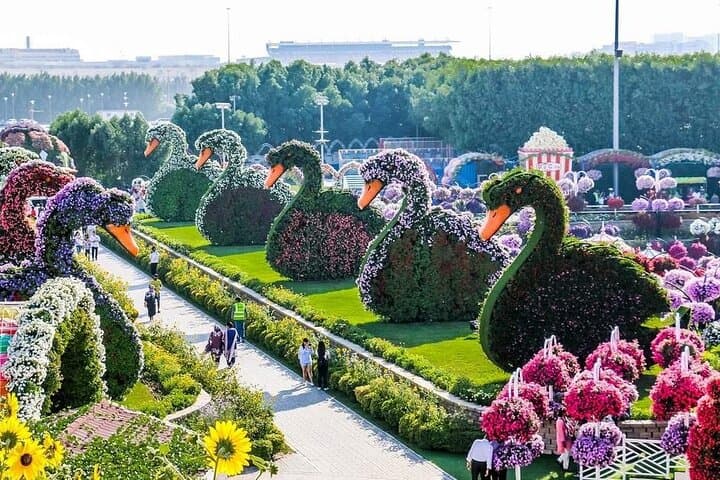 Dubai Miracle Garden Skip-the-Line Ticket — What to Expect & Practical Tips photo 4