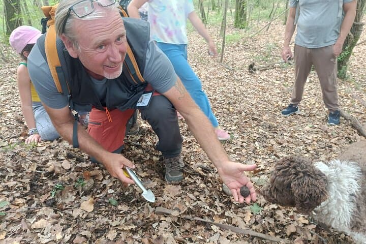 Truffle Hunting & Chianti Wine Tasting: A Tuscan Forage and Lunch Experience photo 2