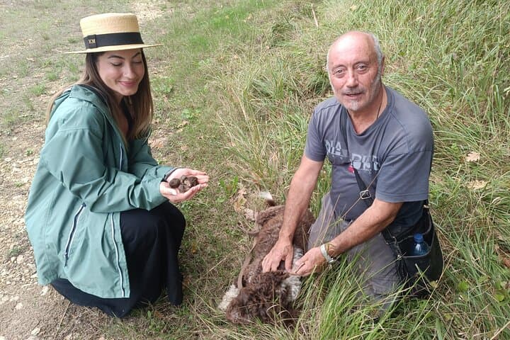 Truffle Hunting & Chianti Wine Tasting: A Tuscan Forage and Lunch Experience photo 3